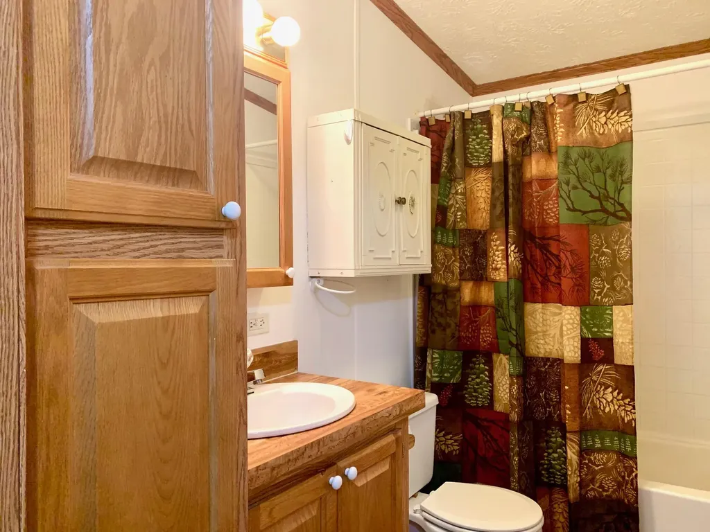 7283 White Swan Lane Hamlin Township MI 49431