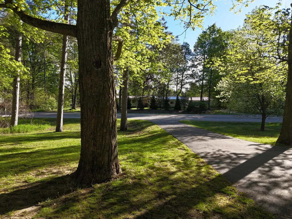 16263 Cadillac Highway Springdale Township MI 49683
