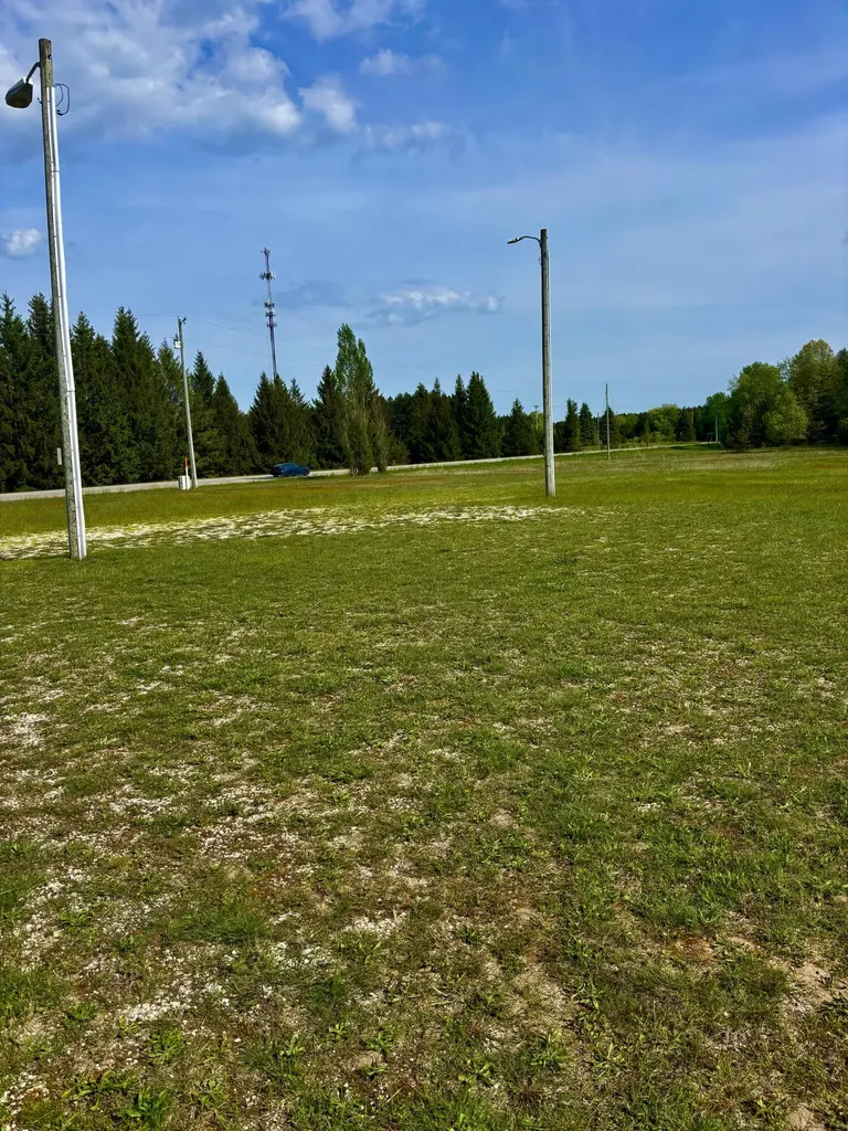 10991 Us-31 Highway Unknown City MI 49660