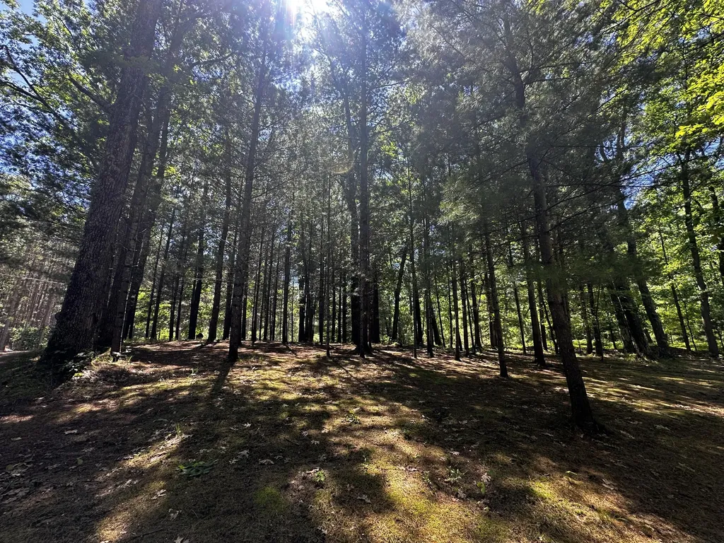 6552 W 11 1/2 Mile Road Elk Township MI 49644