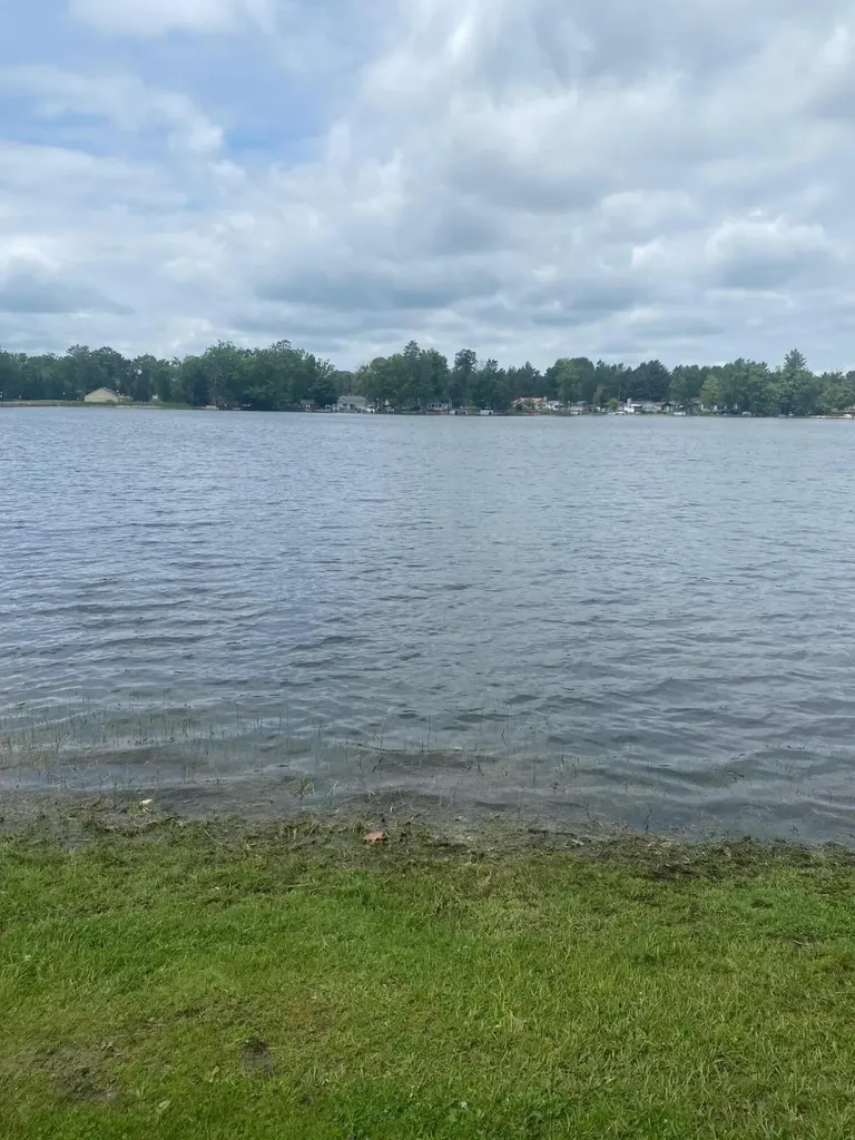 5353 Oakwood Drive Prescott Village MI 48756
