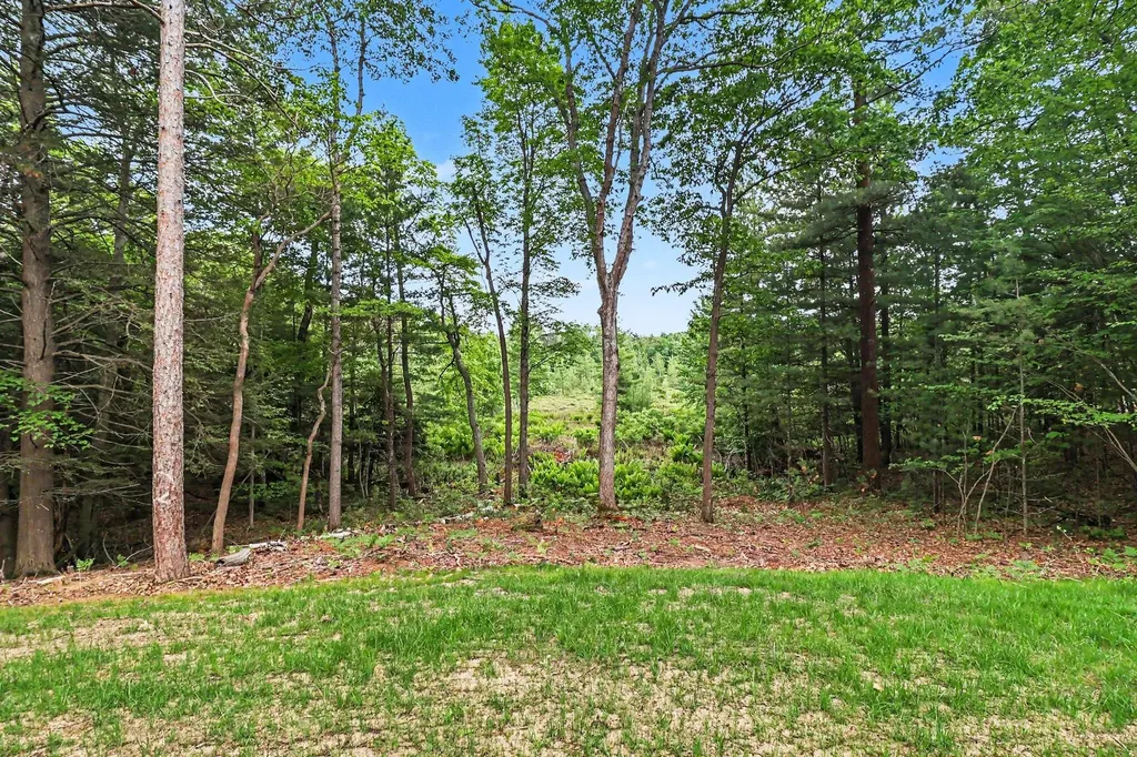 4410 N Pine Avenue Golden Township MI 49436