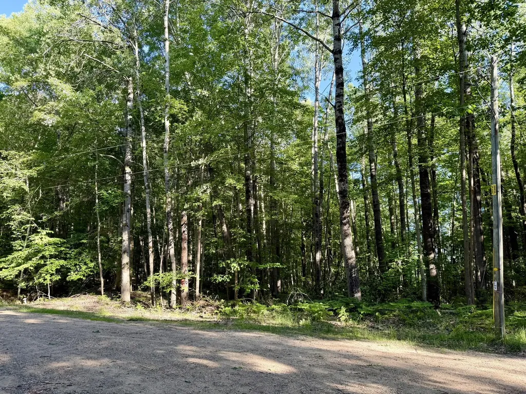 4081 N Stephanie Drive Sheridan Township MI 49402