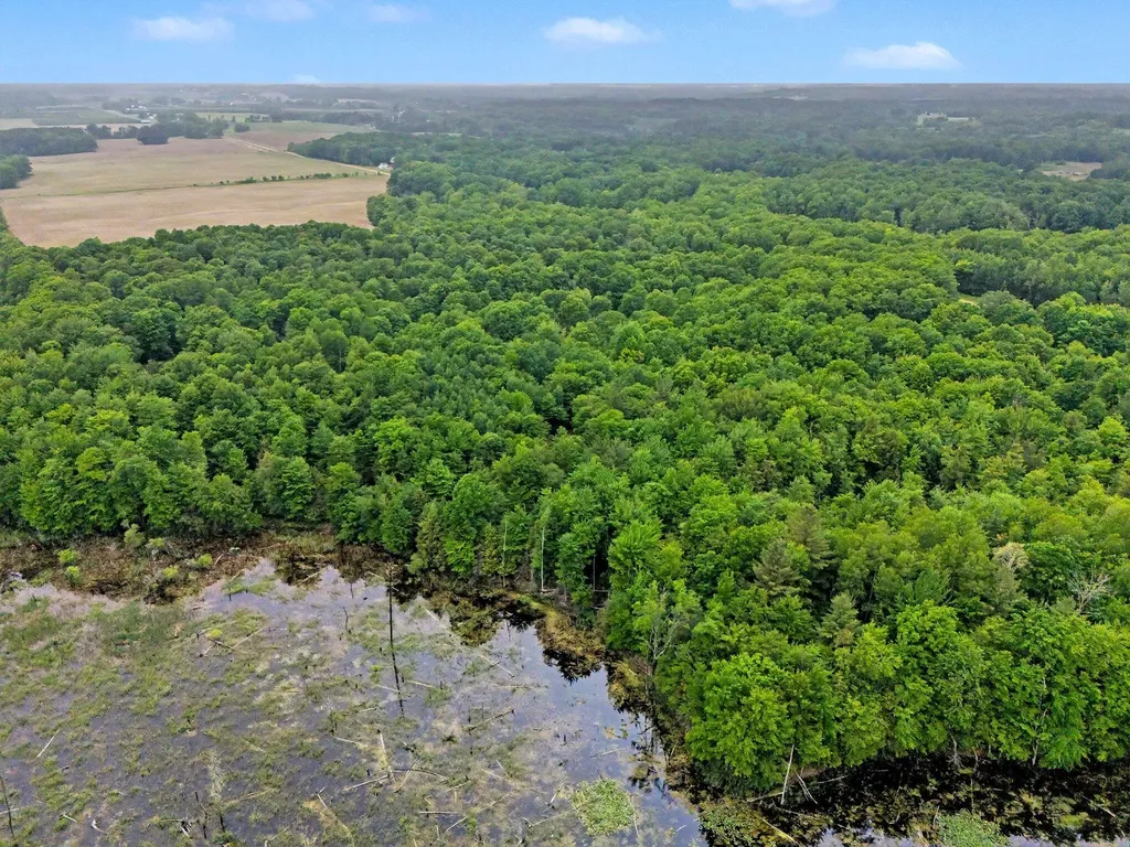 4791 E Fox Road Elbridge Township MI 49420