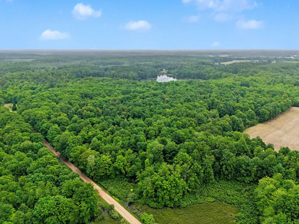 4791 E Fox Road Elbridge Township MI 49420