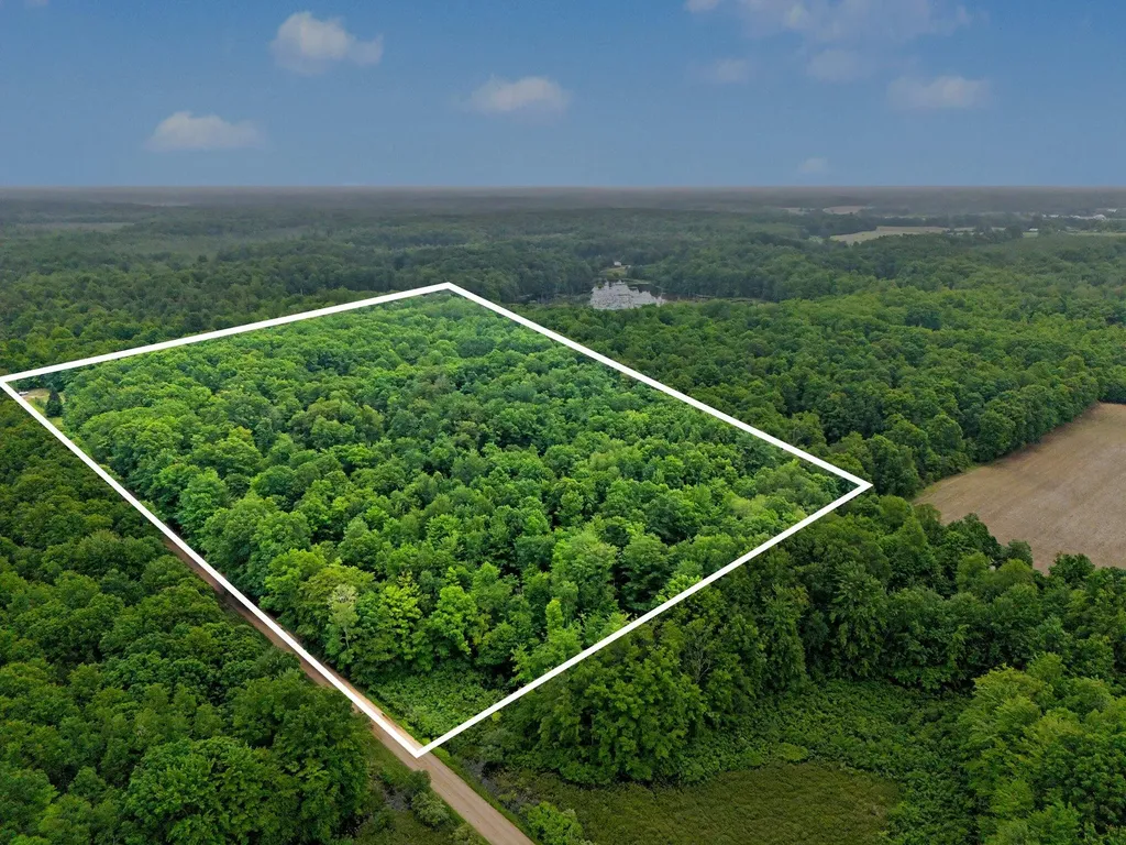4791 E Fox Road Elbridge Township MI 49420