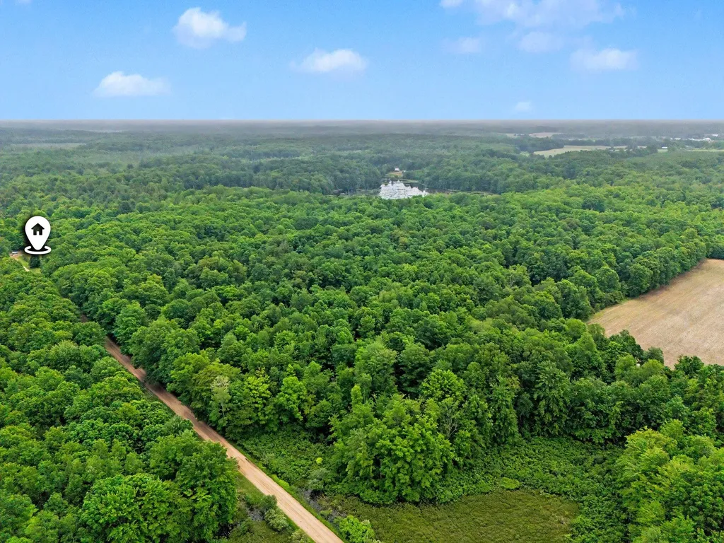 4791 E Fox Road Elbridge Township MI 49420