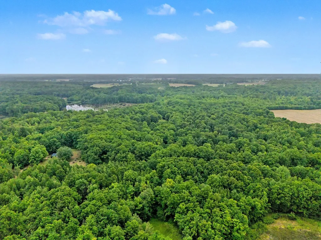 4791 E Fox Road Elbridge Township MI 49420