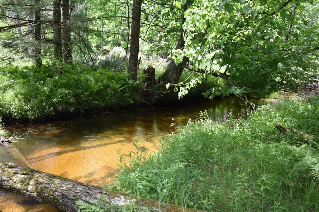 5199 E Marquette Trail Webber Township MI 49623