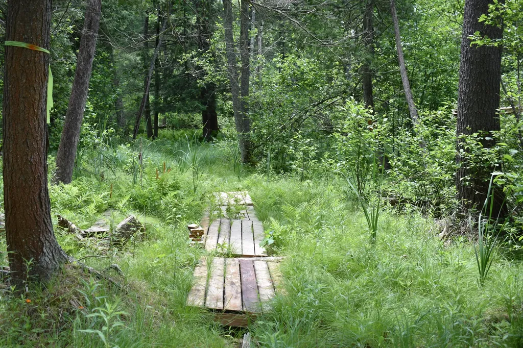 5199 E Marquette Trail Webber Township MI 49623