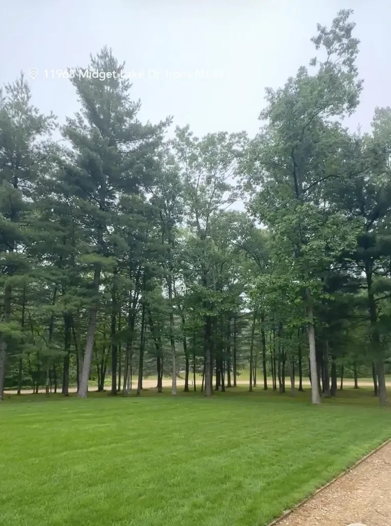 11968 N Midget Lake Drive Elk Township MI 49644