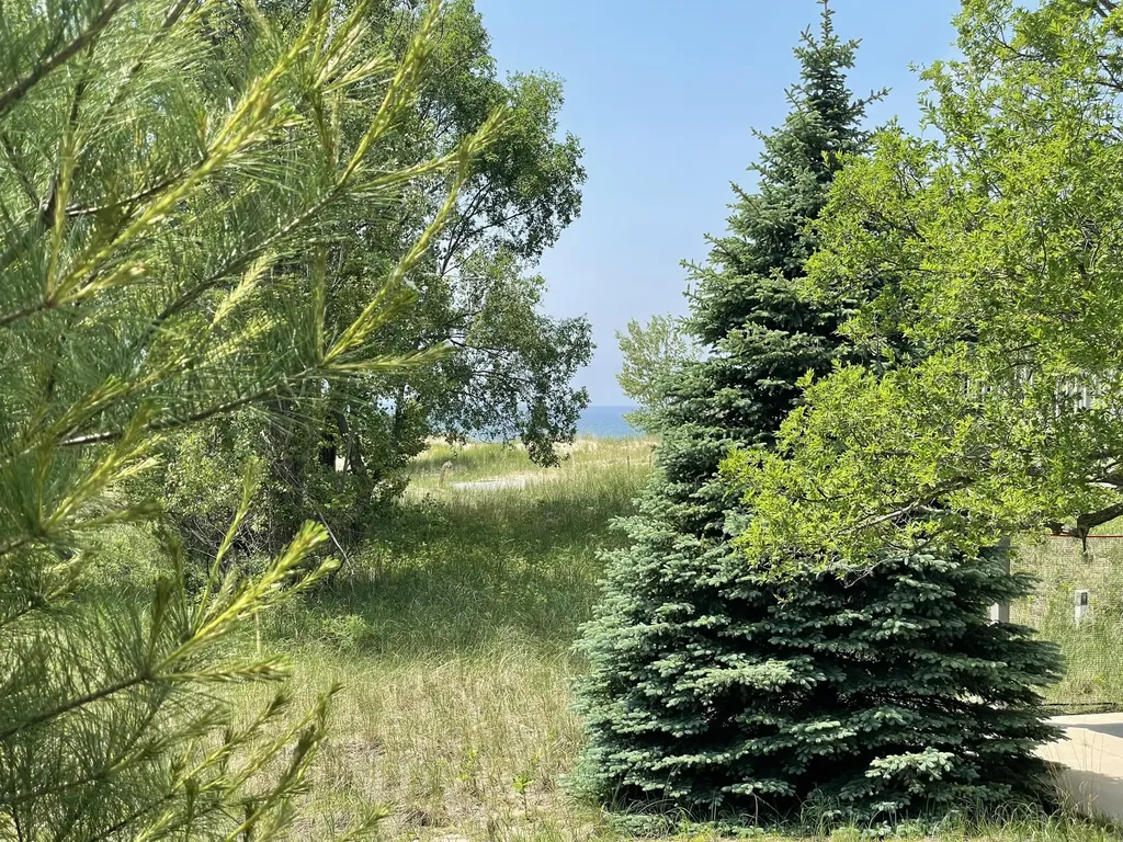 55 S Lighthouse Drive Benona Township MI 49436