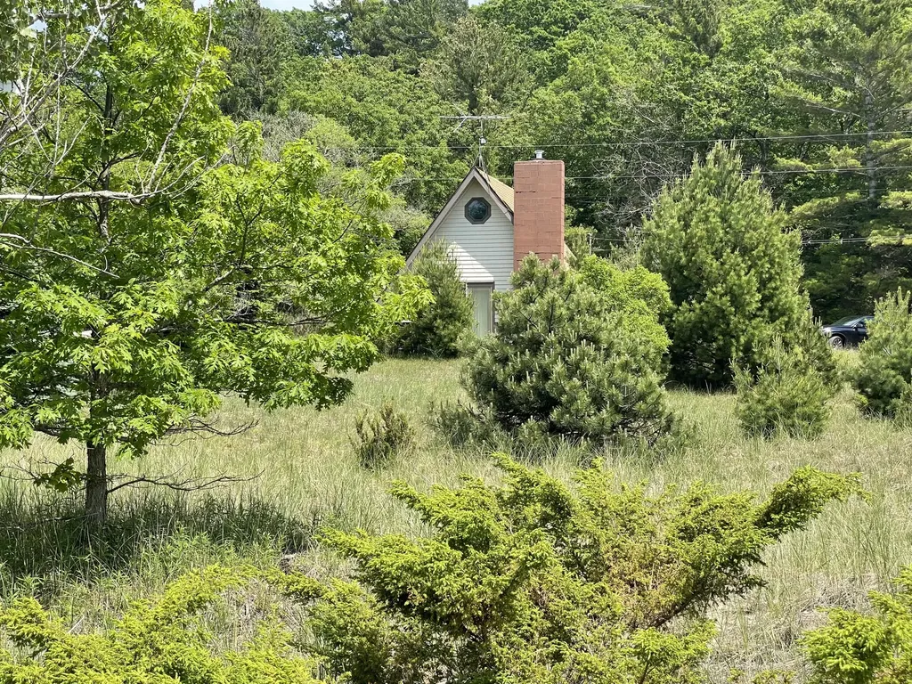 55 S Lighthouse Drive Benona Township MI 49436