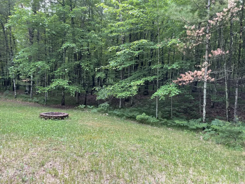 8725 W River Road Elk Township MI 49644