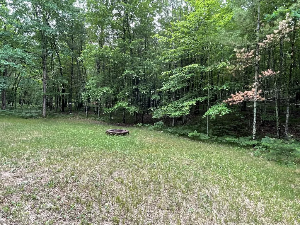 8725 W River Road Elk Township MI 49644