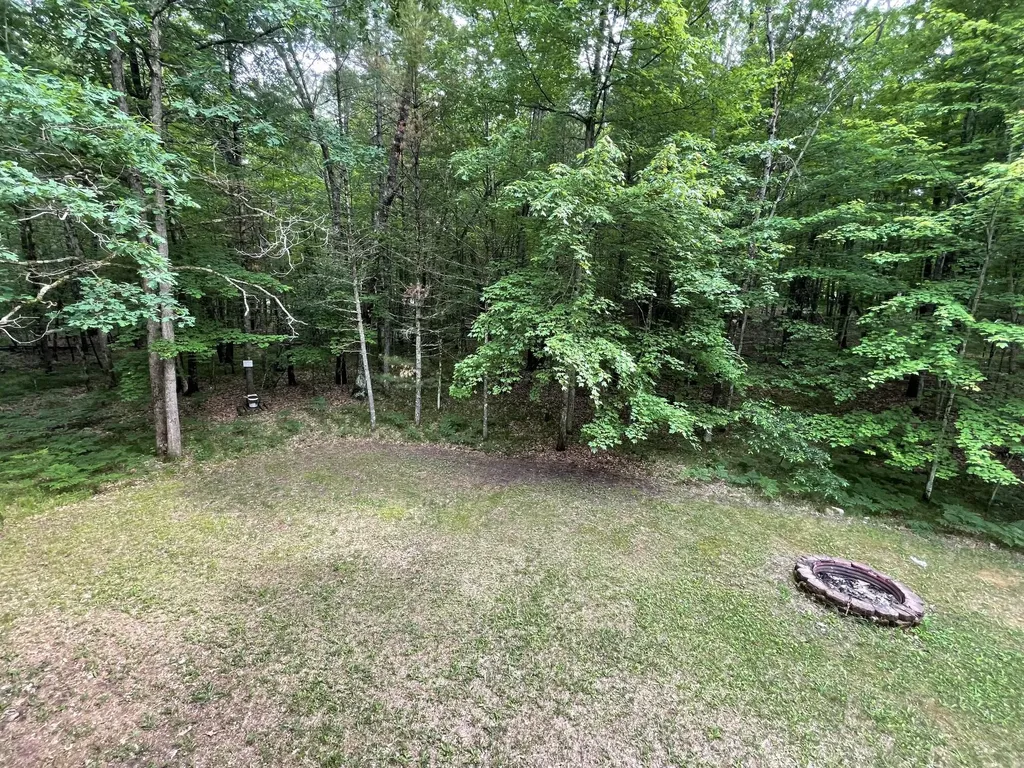 8725 W River Road Elk Township MI 49644