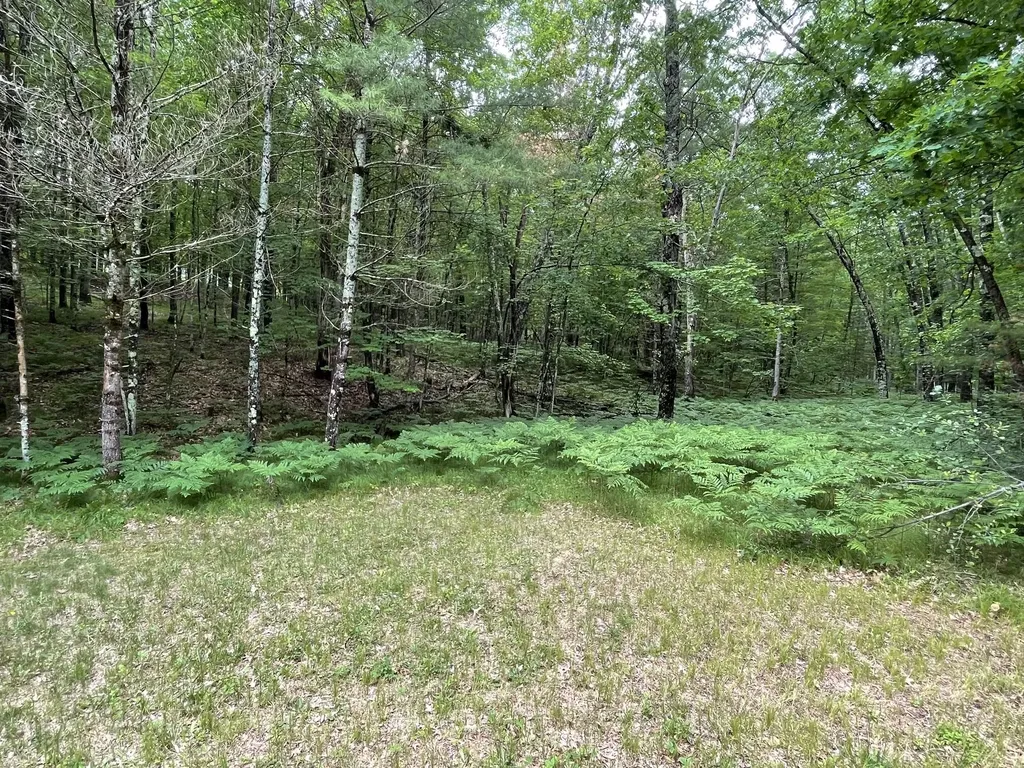 8725 W River Road Elk Township MI 49644