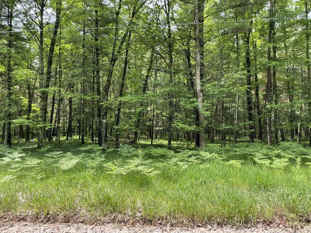 8725 W River Road Elk Township MI 49644