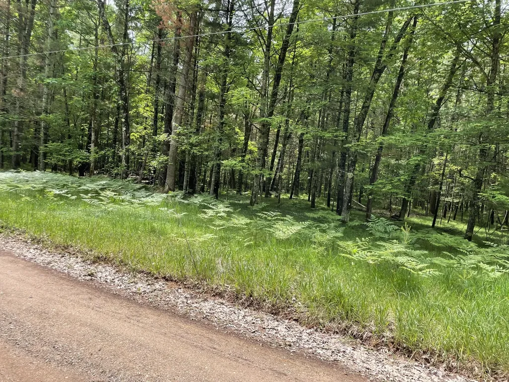 8725 W River Road Elk Township MI 49644