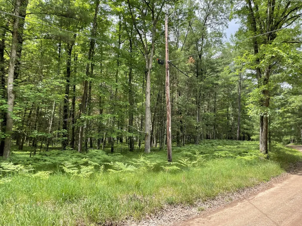 8725 W River Road Elk Township MI 49644