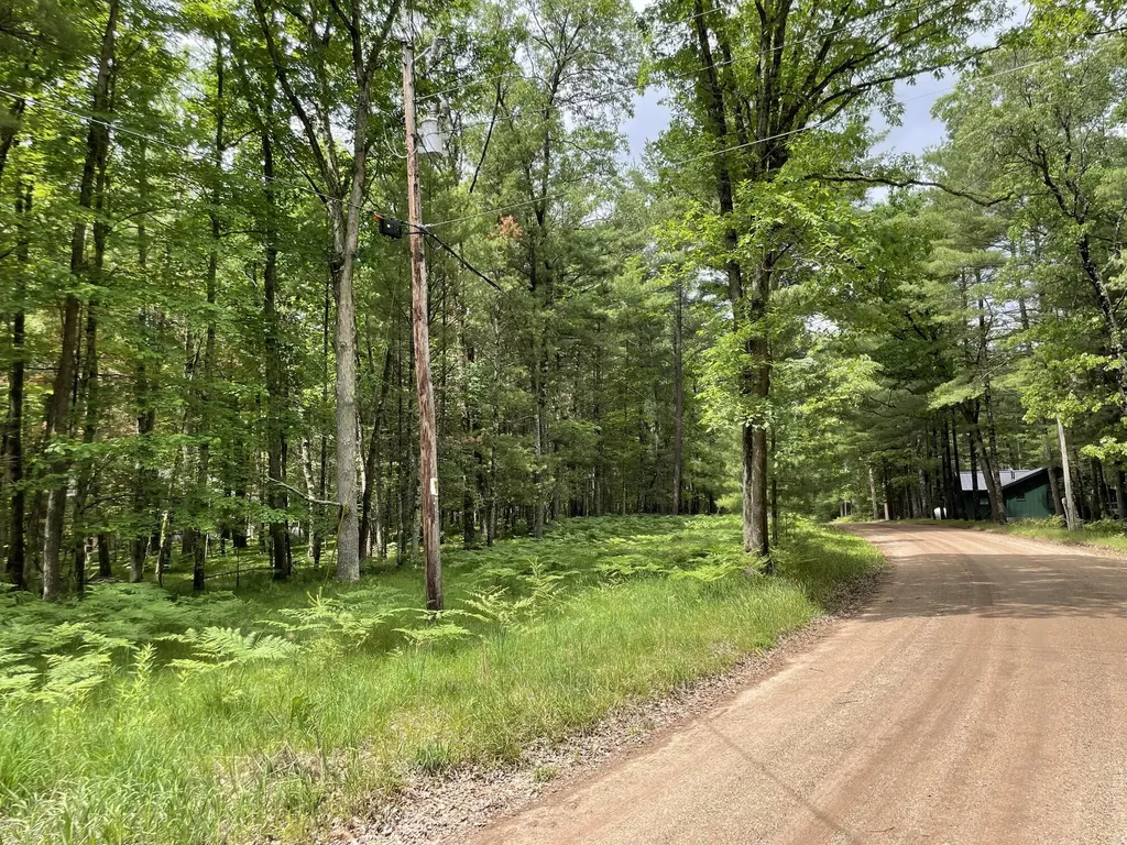 8725 W River Road Elk Township MI 49644