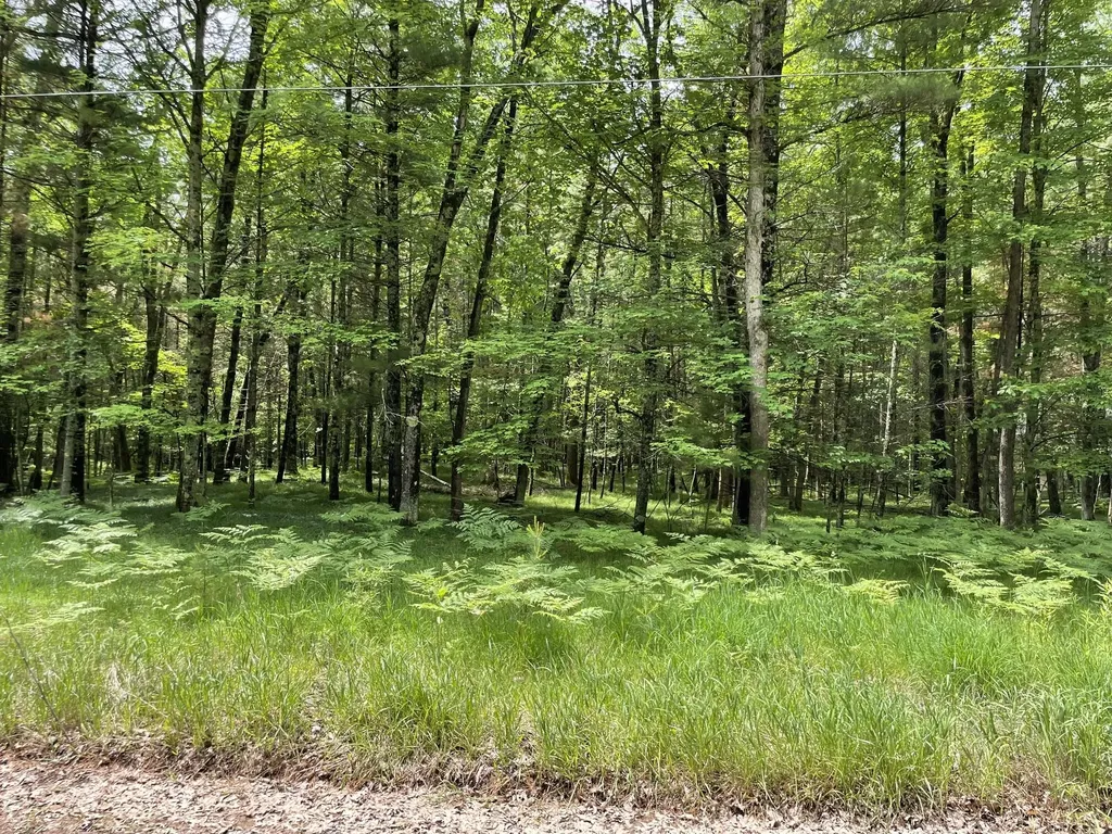 8725 W River Road Elk Township MI 49644