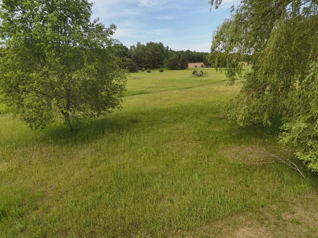 15450 Johnson Road Maple Grove Township MI 49645