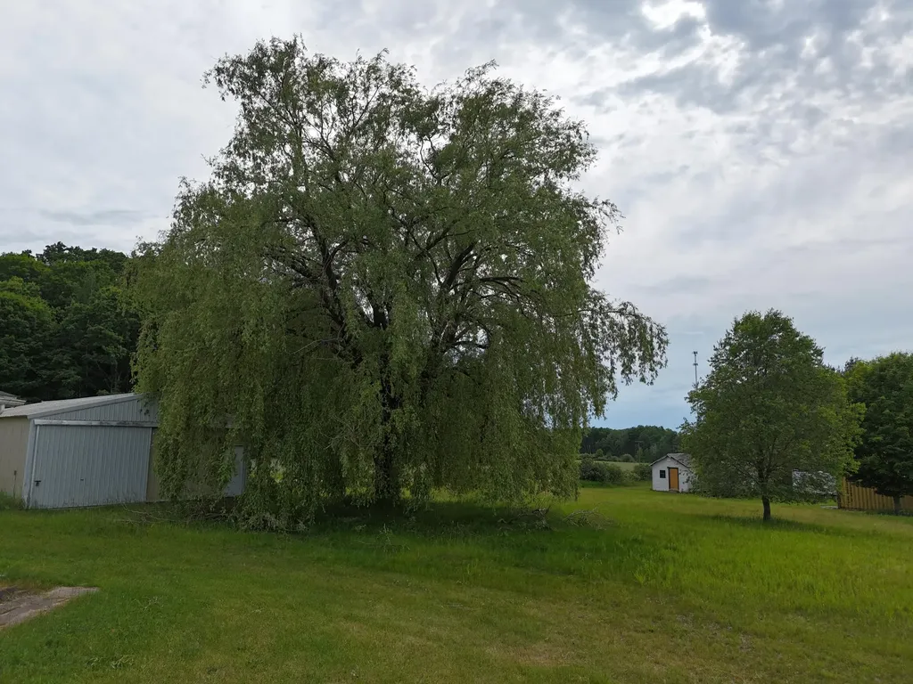 15450 Johnson Road Maple Grove Township MI 49645