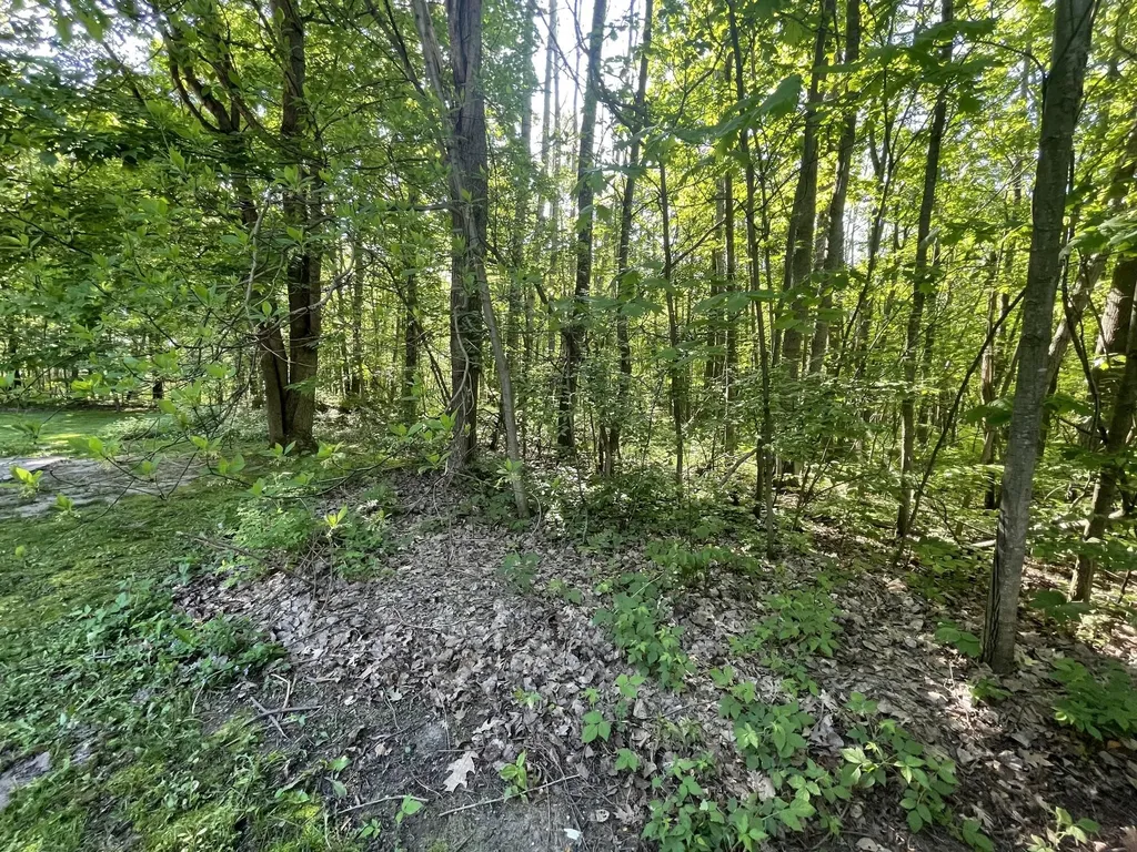 18965 N Coates Highway Dickson Township MI 49619