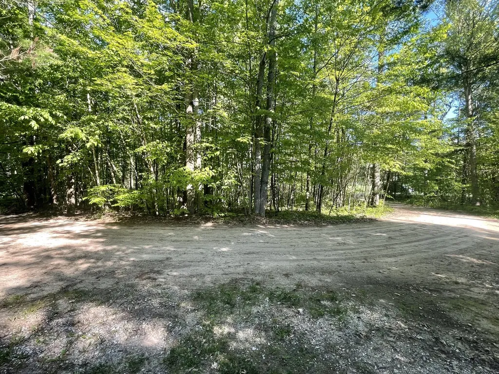 18965 N Coates Highway Dickson Township MI 49619