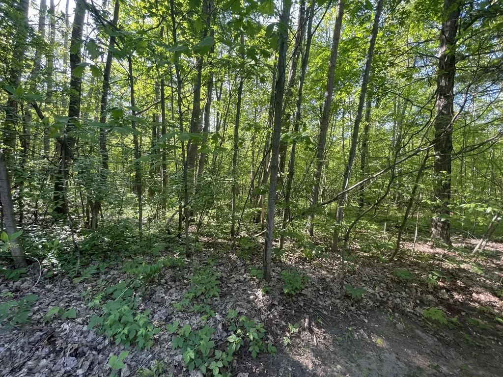 18965 N Coates Highway Dickson Township MI 49619