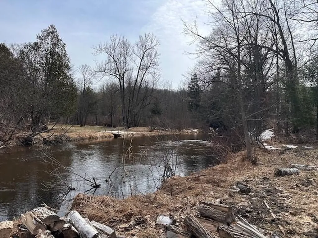 8034 N Johnson Road Elk Township MI 49644
