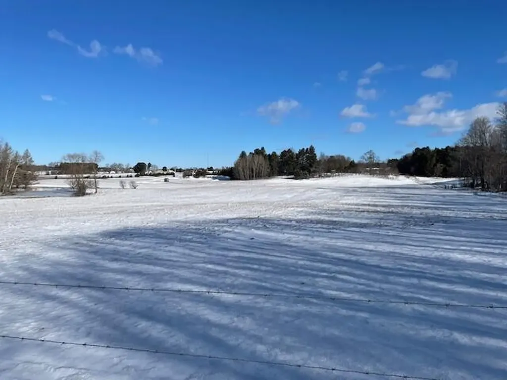 7909 11 Mile Road Bear Lake Township MI 49614