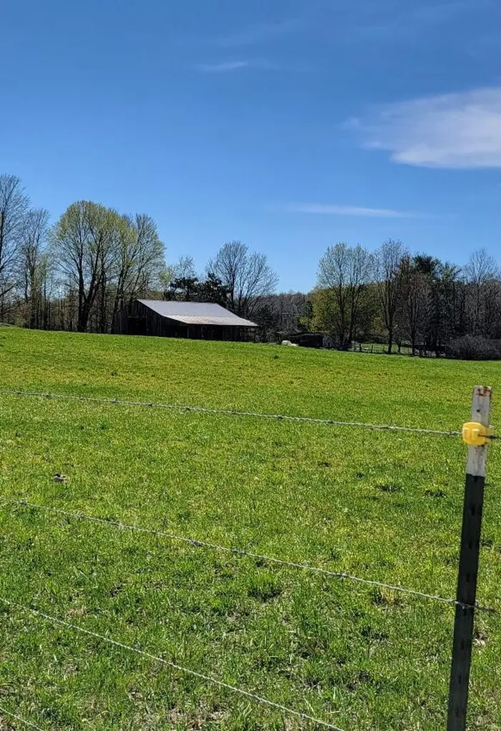 7909 11 Mile Road Bear Lake Township MI 49614
