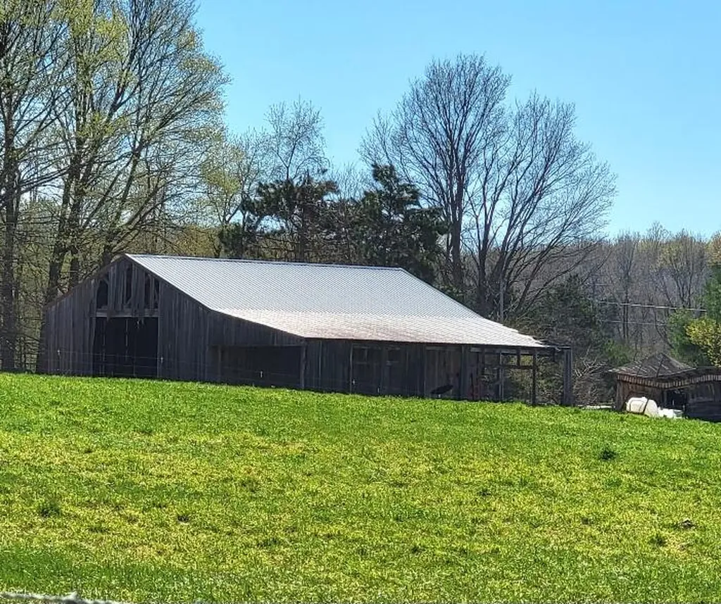 7909 11 Mile Road Bear Lake Township MI 49614