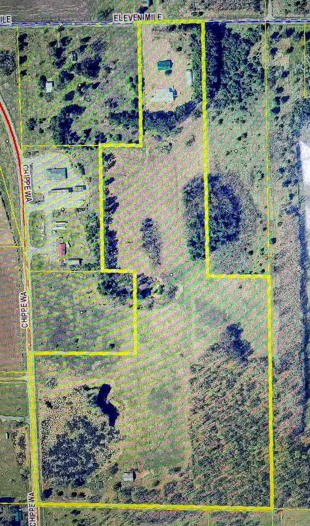 7909 11 Mile Road Bear Lake Township MI 49614