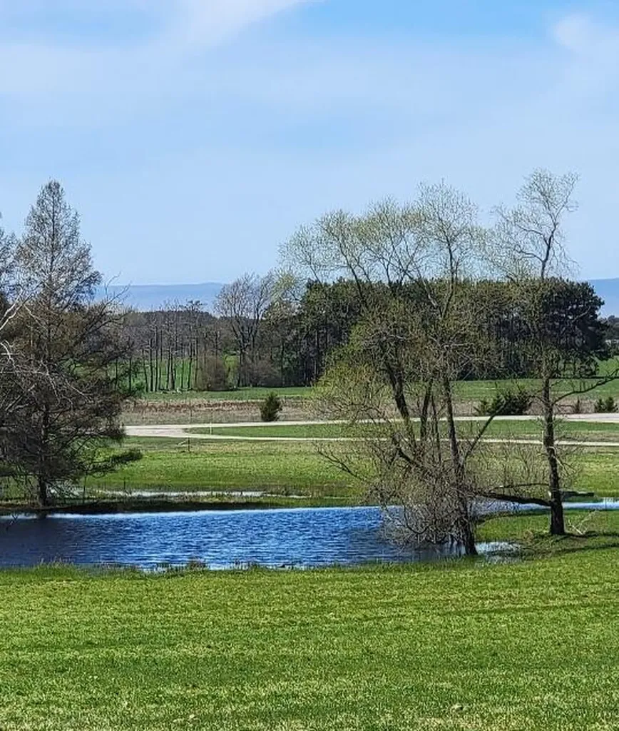 7909 11 Mile Road Bear Lake Township MI 49614
