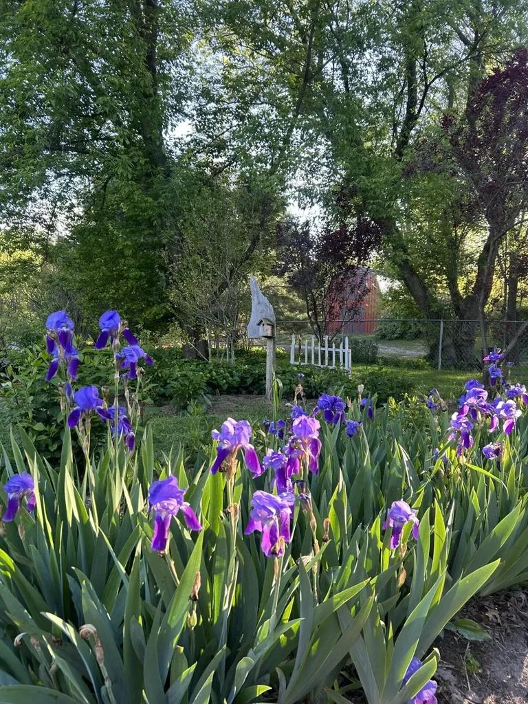 1799 E U.s. 10 Custer Township MI 49405