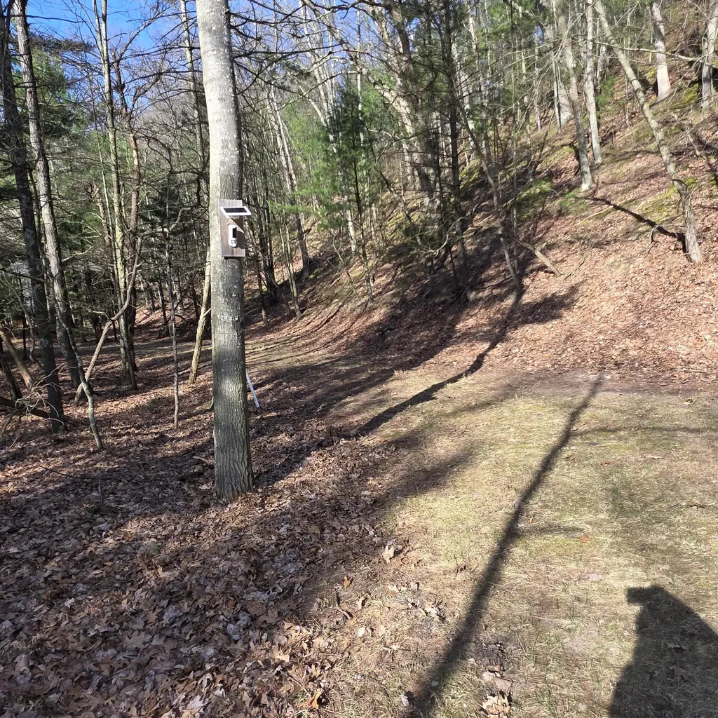 5875 W Michigan Avenue Pentwater Township MI 49449