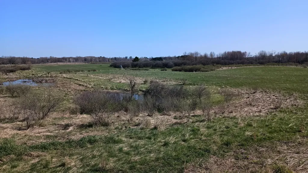 3607 E Hansen Road Custer Township MI 49405