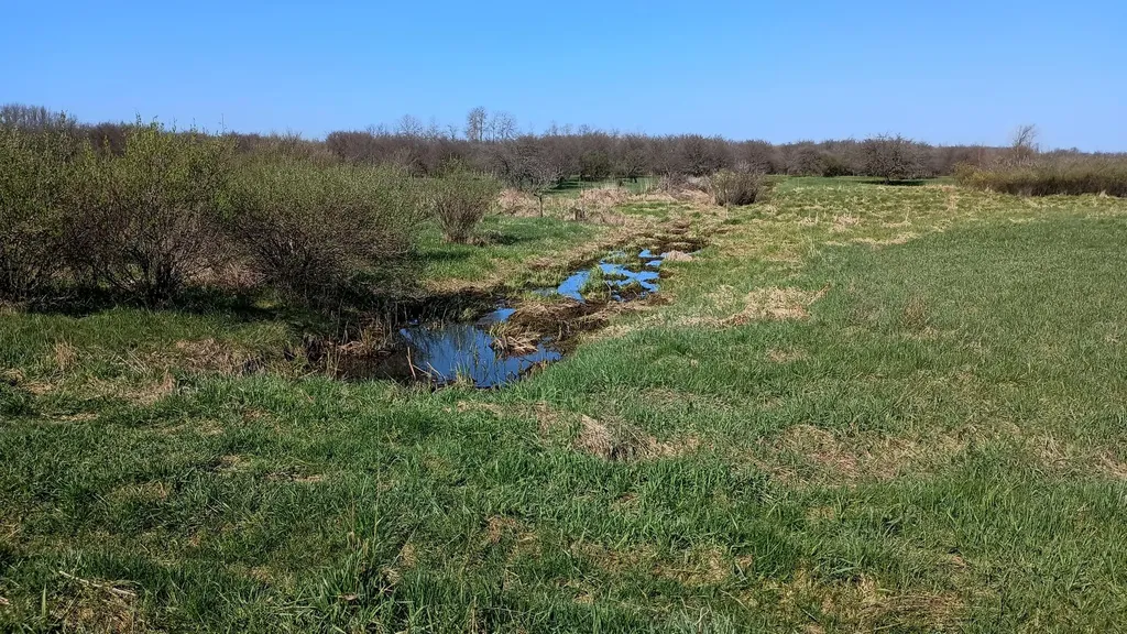 3607 E Hansen Road Custer Township MI 49405