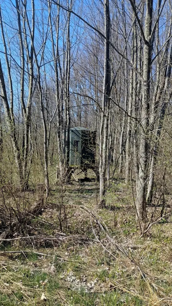 3607 E Hansen Road Custer Township MI 49405