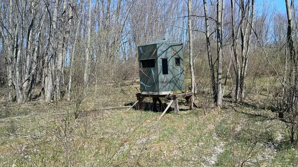 3607 E Hansen Road Custer Township MI 49405