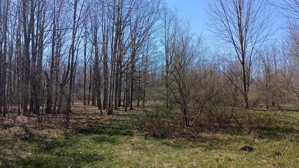 3607 E Hansen Road Custer Township MI 49405