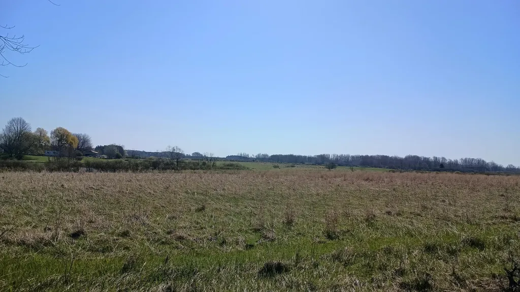 3607 E Hansen Road Custer Township MI 49405
