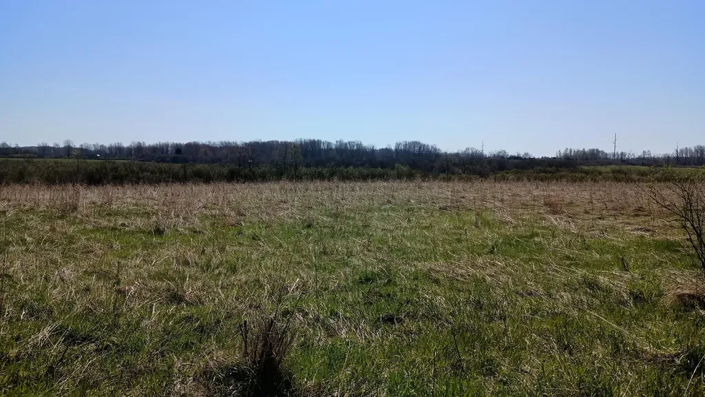 3607 E Hansen Road Custer Township MI 49405