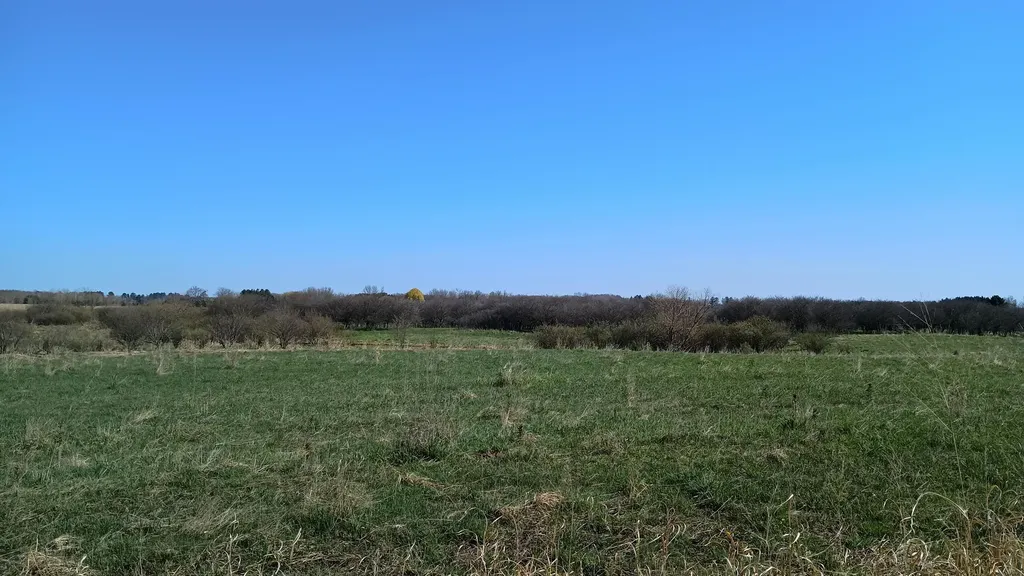 3607 E Hansen Road Custer Township MI 49405