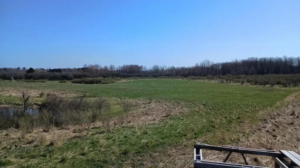 3607 E Hansen Road Custer Township MI 49405