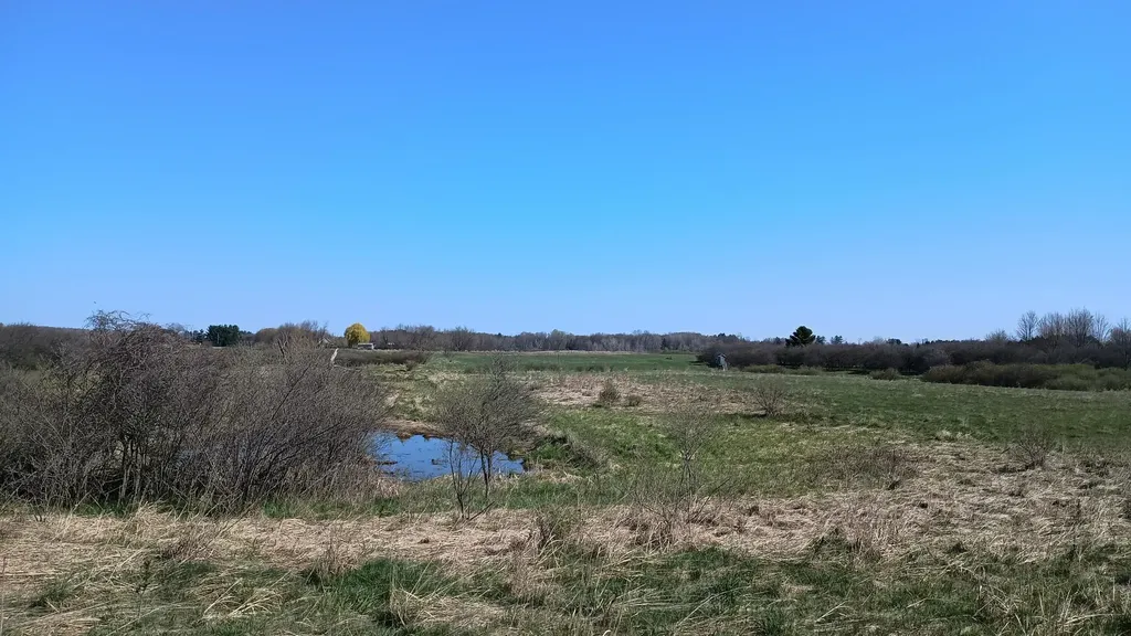 3607 E Hansen Road Custer Township MI 49405