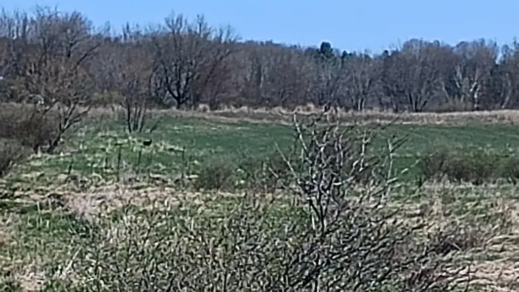 3607 E Hansen Road Custer Township MI 49405